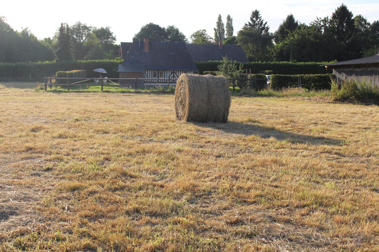 La Bouillerie Du Clos Branville Esterno foto